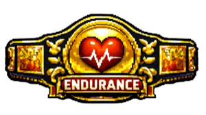 Endurance Belt