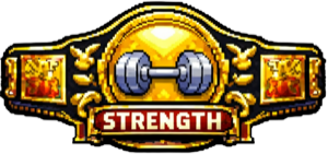 Strength Belt